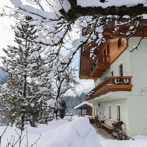 Waltlbauer im Winter