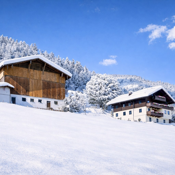 Außenansicht des Bauernhofs im Winter, umgeben von schneebedeckten Bäumen und Feldern.