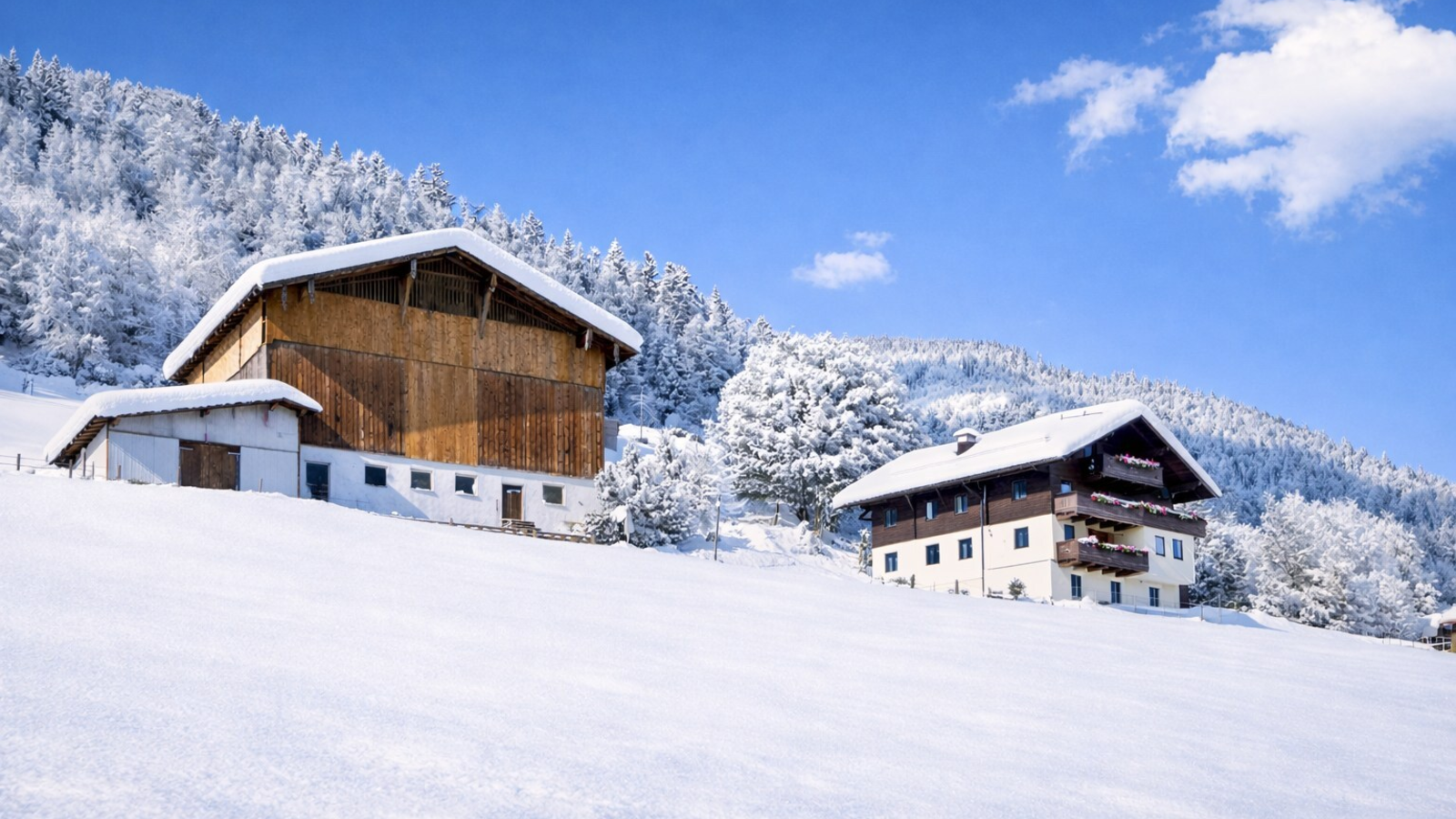 Außenansicht des Bauernhofs im Winter, umgeben von schneebedeckten Bäumen und Feldern.
