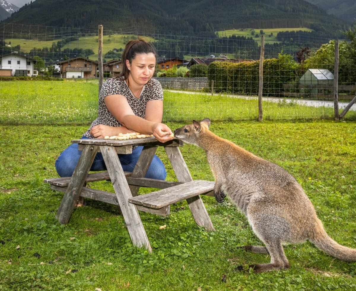 Die idyllische grüne Wiese der Ferienwohnung mit der einzigartigen Möglichkeit, zahme Kängurus hautnah zu füttern.