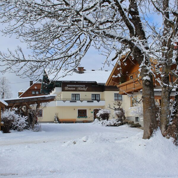 Abelhof
