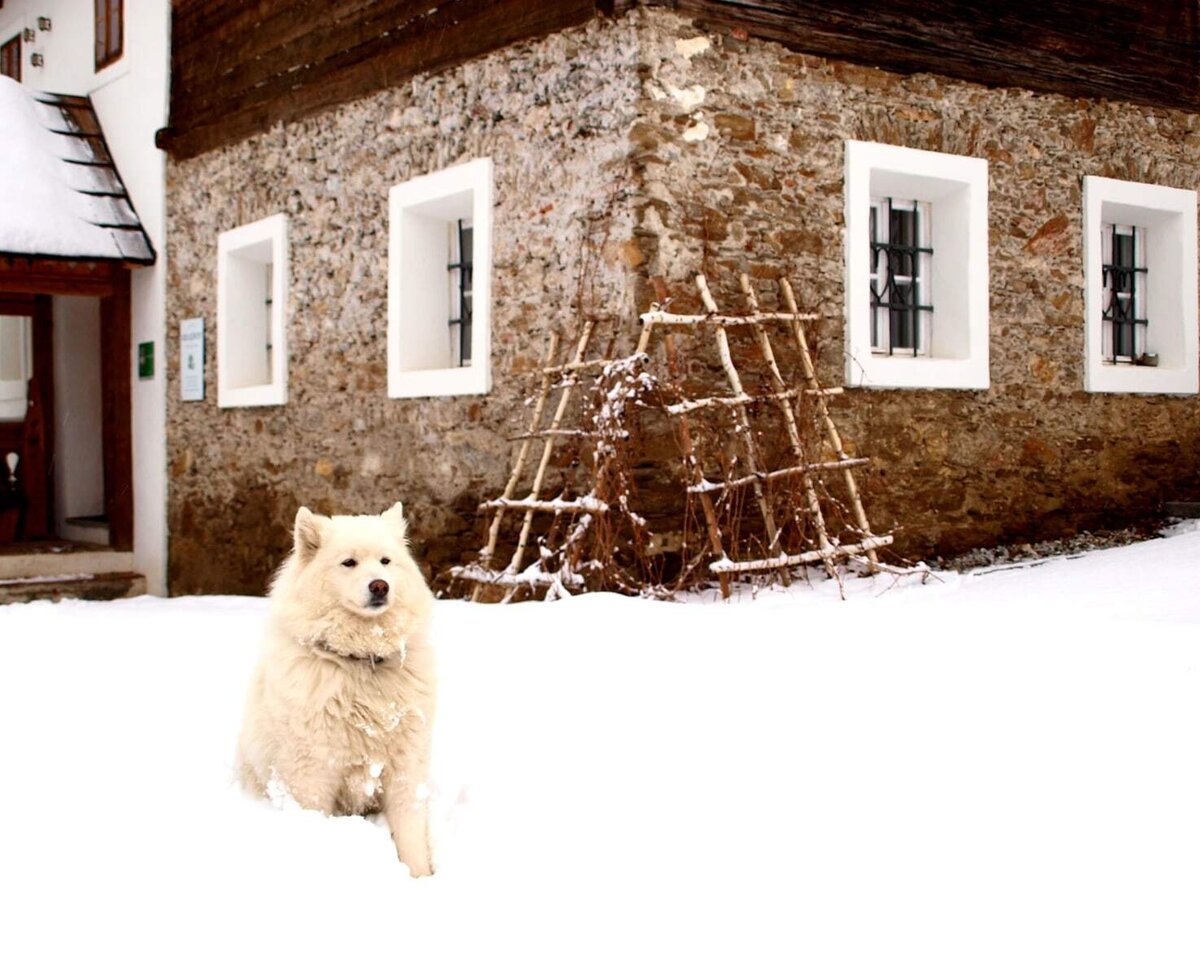 Bauernhaus mit Luna_Winter
