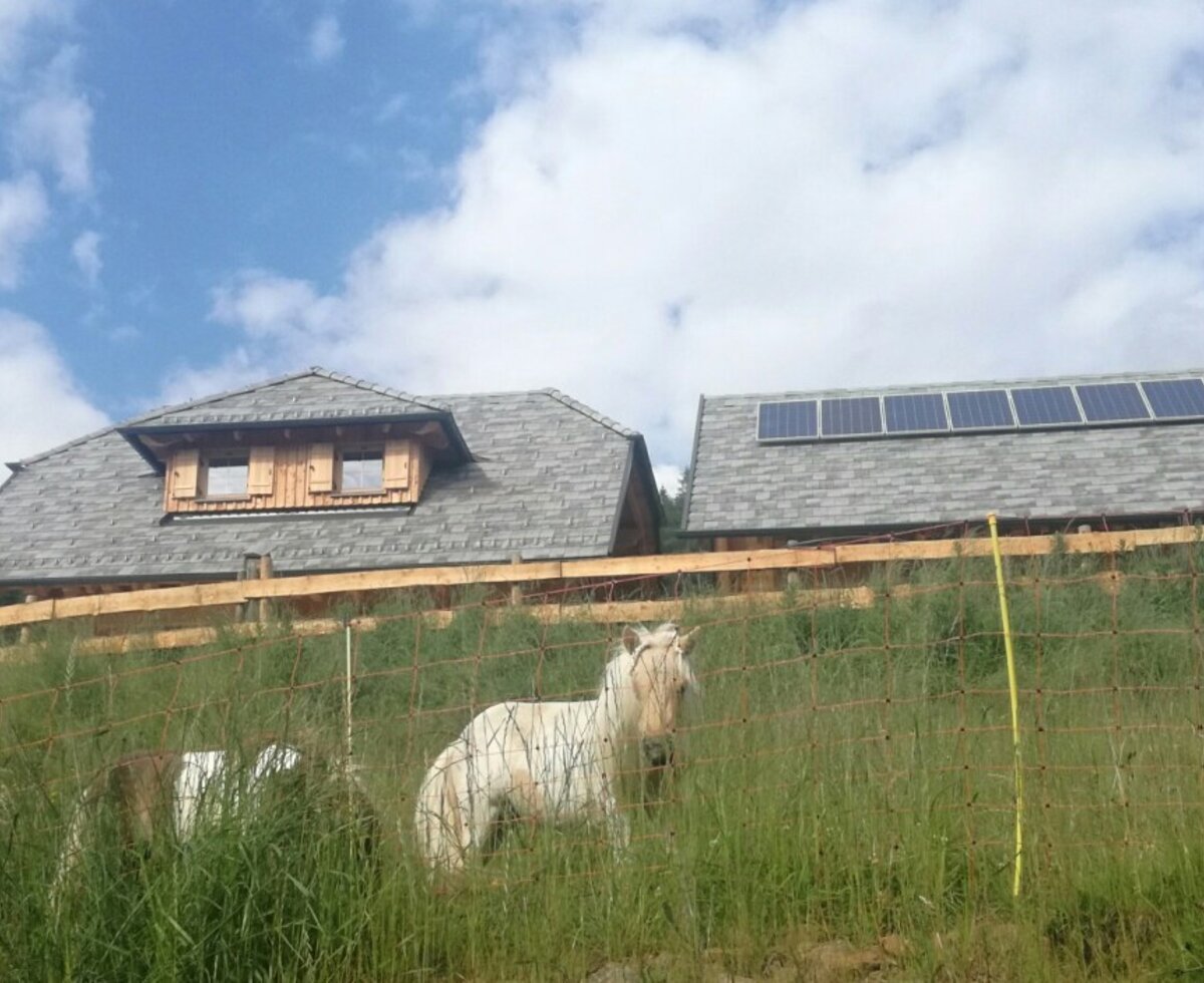 Hütte Nikola mit Mini Ponys