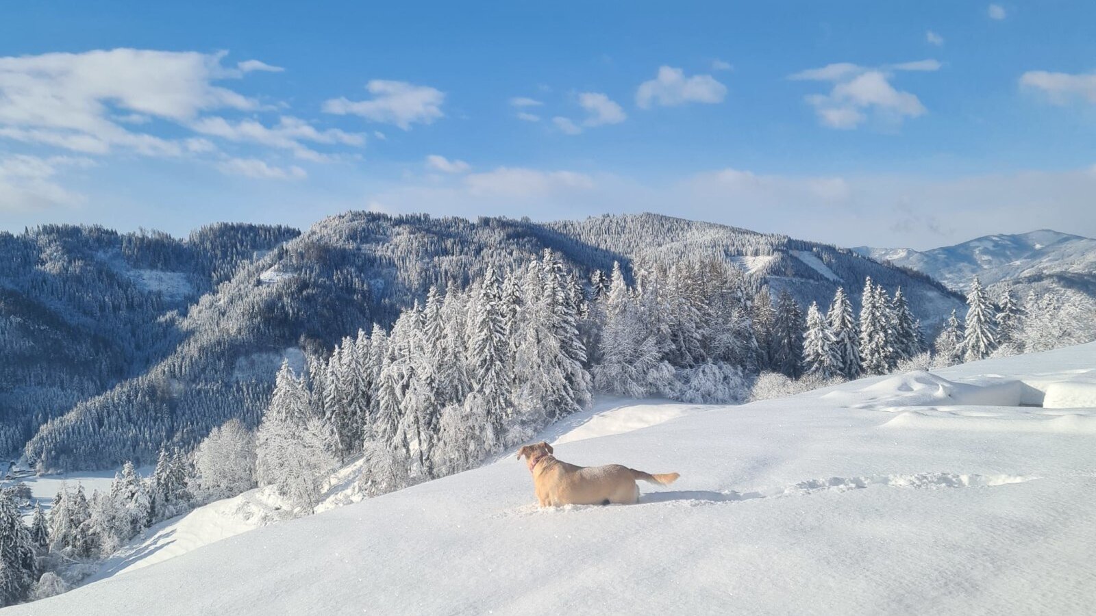 Aussicht in Richtung Pölstal von der Terrasse