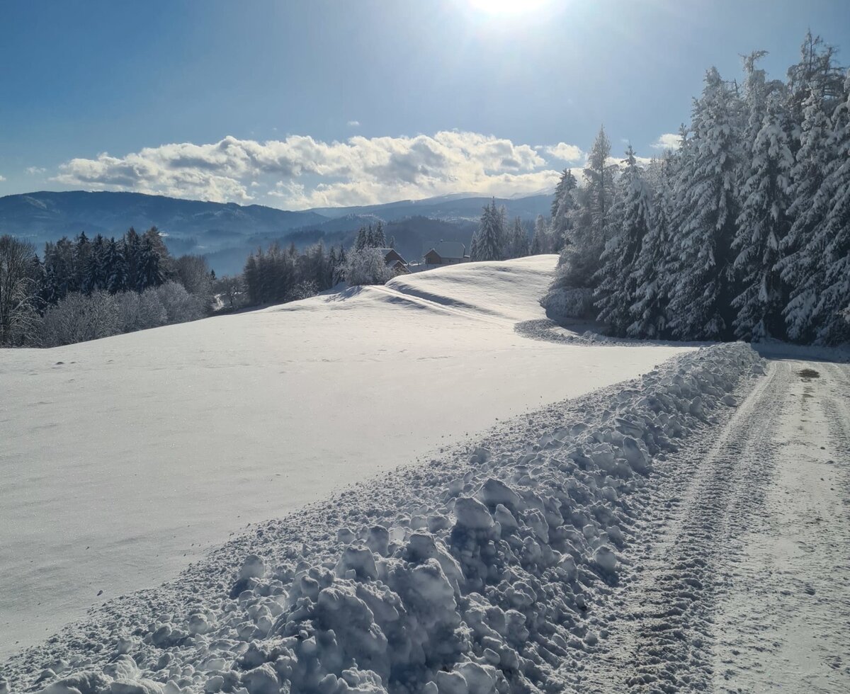 Winter am Berg