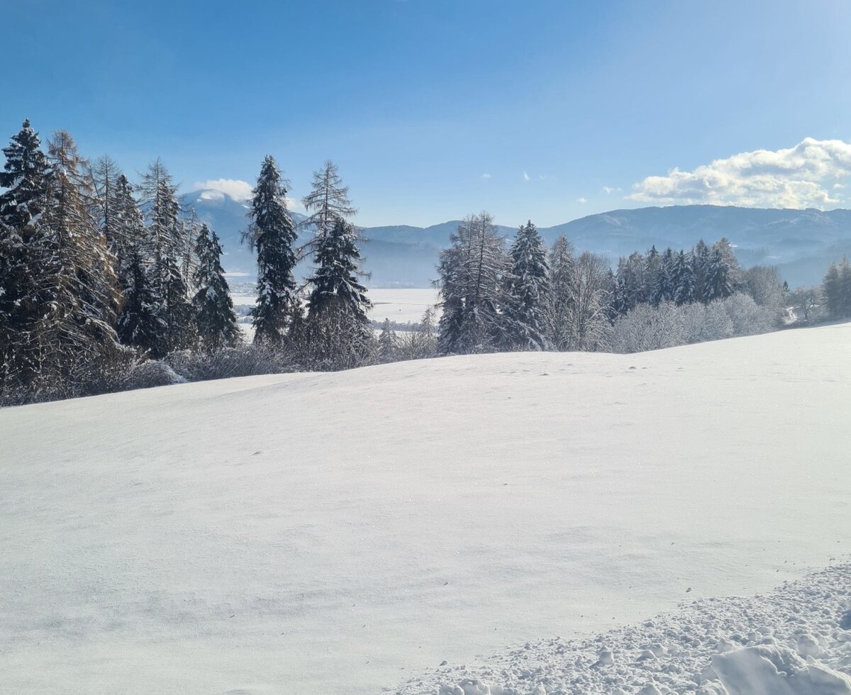 Blick Richtung Zeltweg und dem Größing