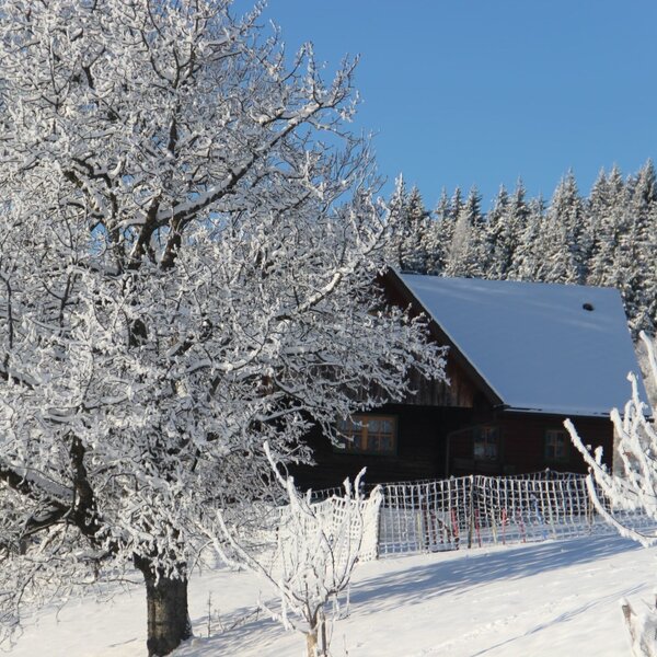 Sulmegg im Schnee