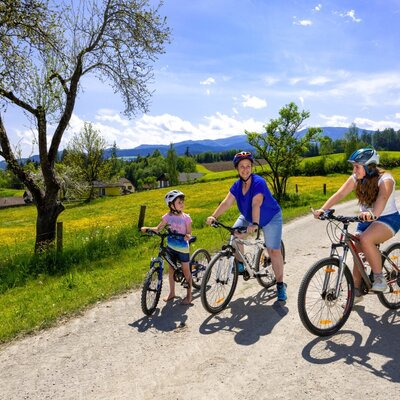 Fahrradfahren auf den Wegen rund um den Bauernhof, umgeben von Wiesen und Berglandschaft.