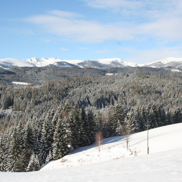 Winterpanorama