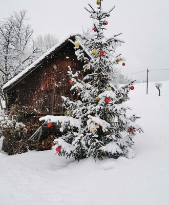 Outdoor Weihnachtsbaum