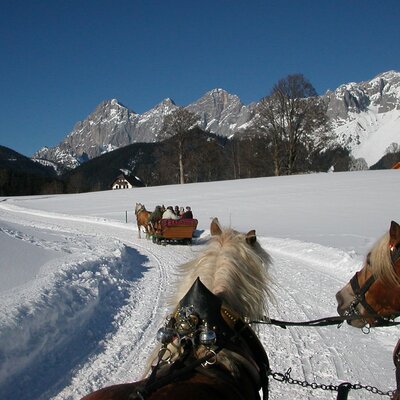 Pferdeschlittenfahrten