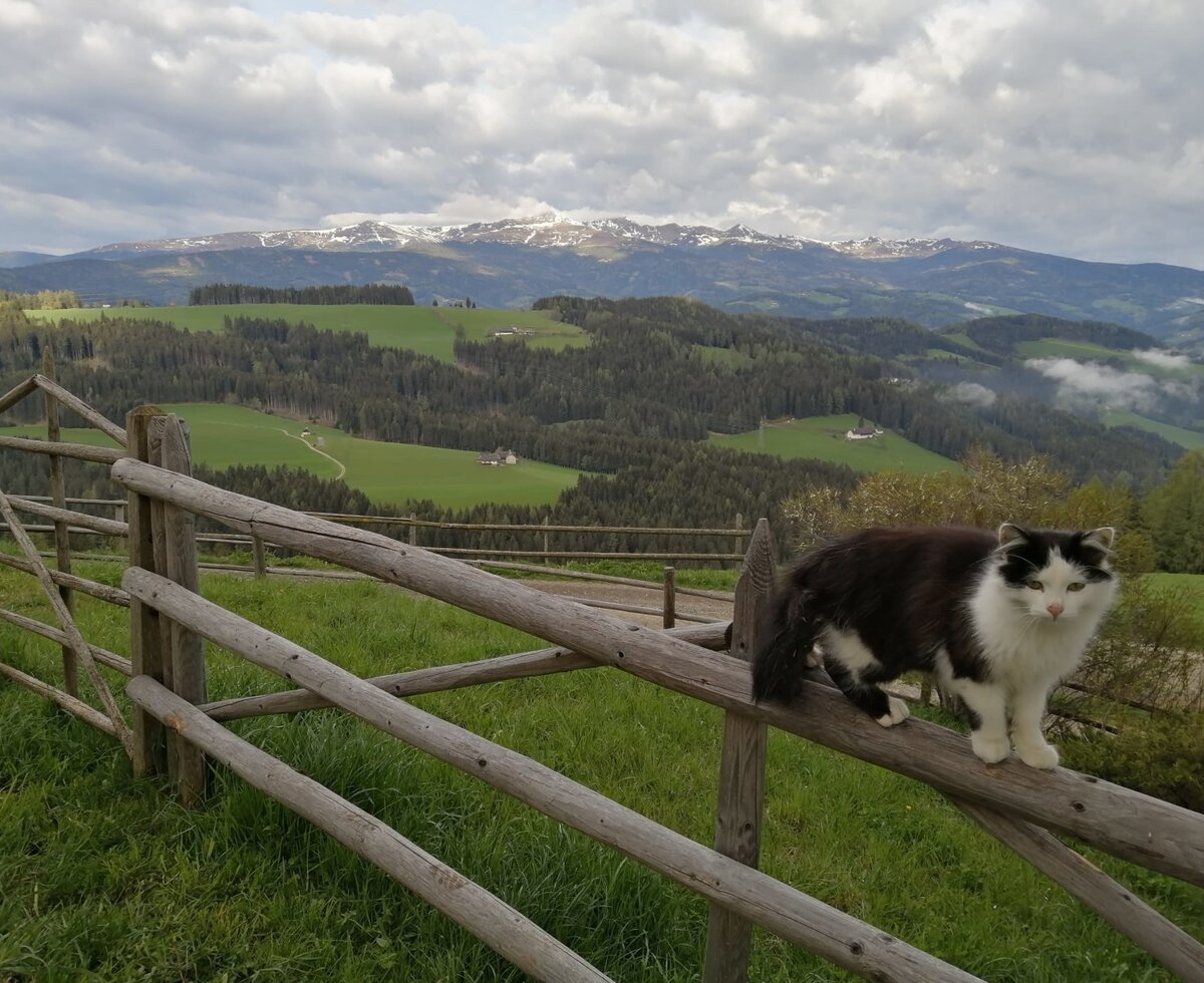 Herrliche Aussicht auf Zirbitzkogel