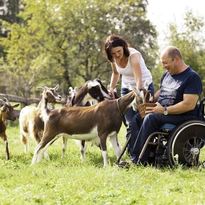 rollstuhlfahrer mit Ziegen