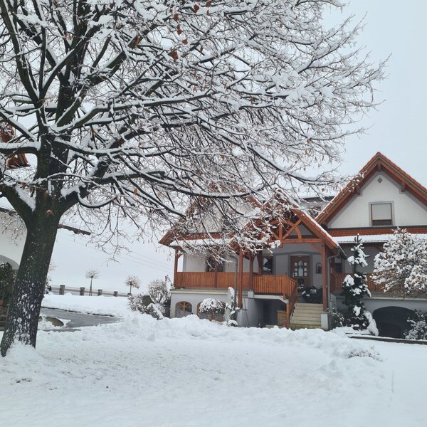 Der Bauernhof im Winter, umgeben von schneebedeckten Bäumen und Wegen.