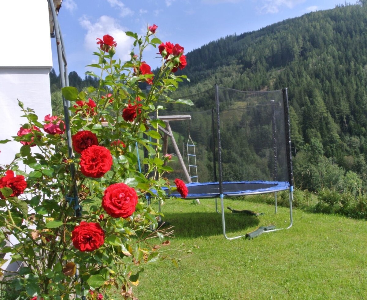 Der Gartenbereich des Bauernhofs mit roten Rosen, einem Trampolin und Blick auf den bewaldeten Berghang.