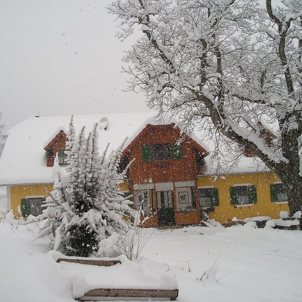 BioBauernhof Sommer im Schnee