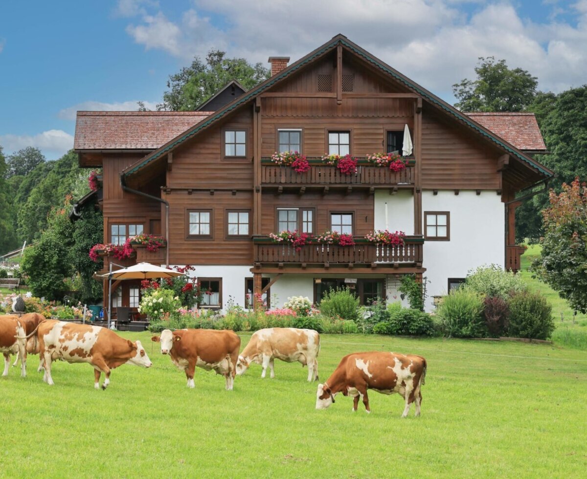 Der einladende Bauernhof mit blumengeschmückten Balkonen und weidenden Kühen auf der saftig grünen Wiese davor.