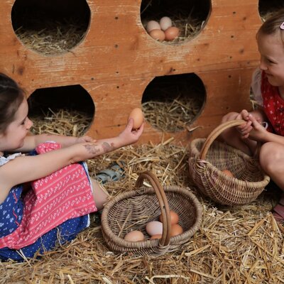 Zwei fröhliche Kinder sammeln frische Eier im gemütlichen Hühnerstall des Bauernhofs.