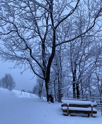 Der verschneite Außenbereich des Bauernhofs mit Bäumen und einer Holzbank.