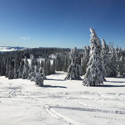 Skitouren direkt vom Blockhaus