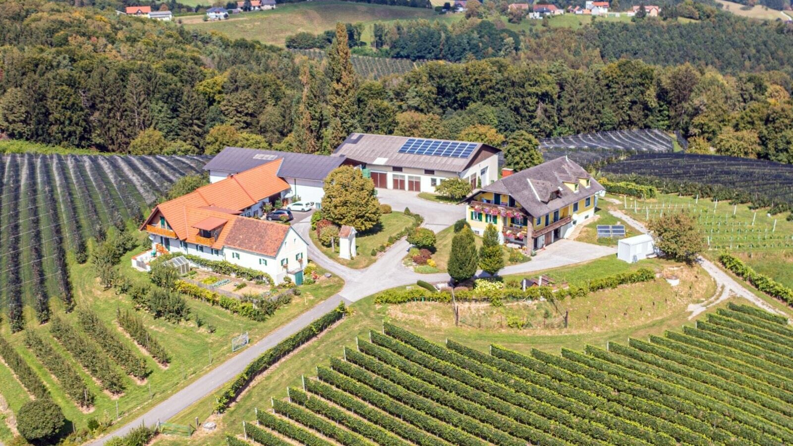 Luftaufnahme Hof