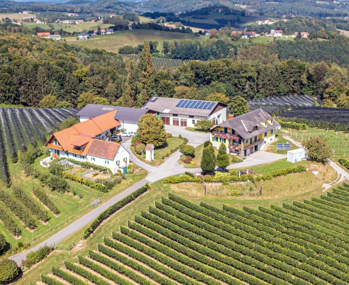 Luftaufnahme Hof
