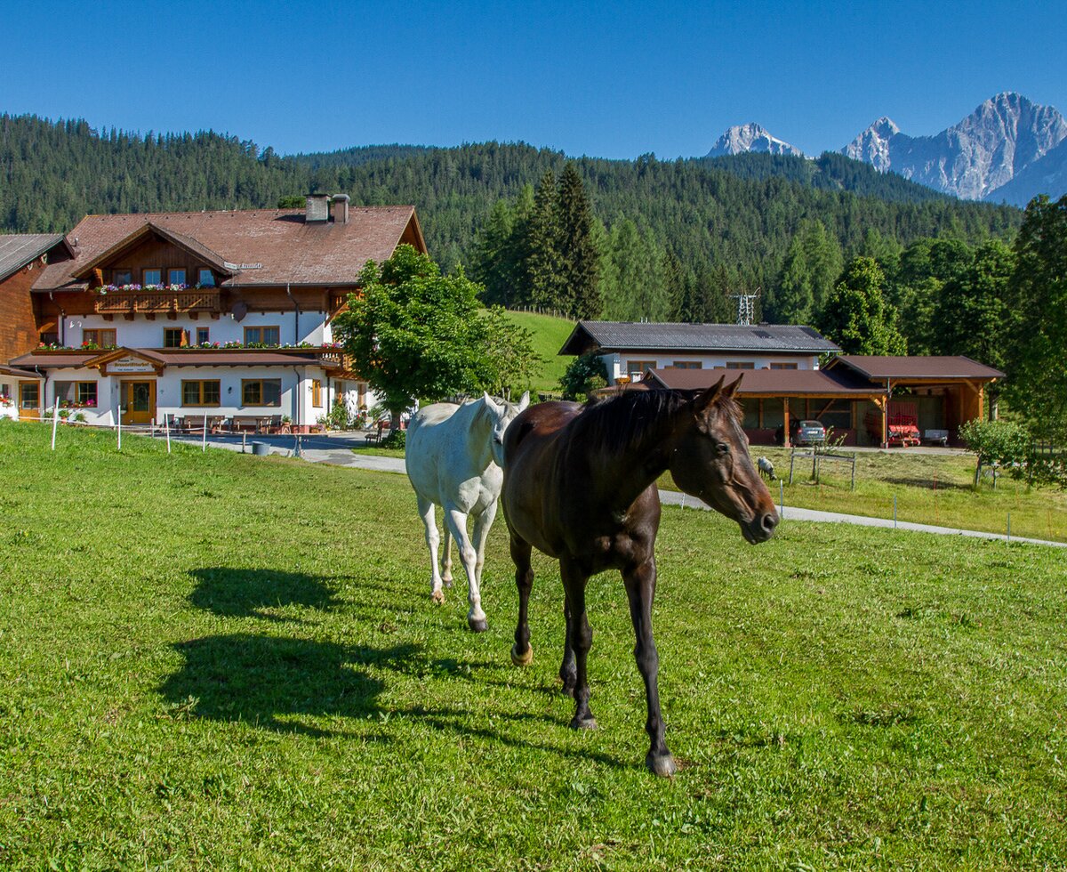 Sommer am Brandstätterhof