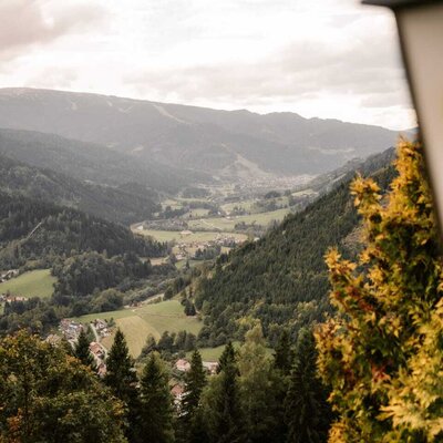 Blick auf das Tal mit Bergen, Wäldern und einem Dorf vom Bauernhof.