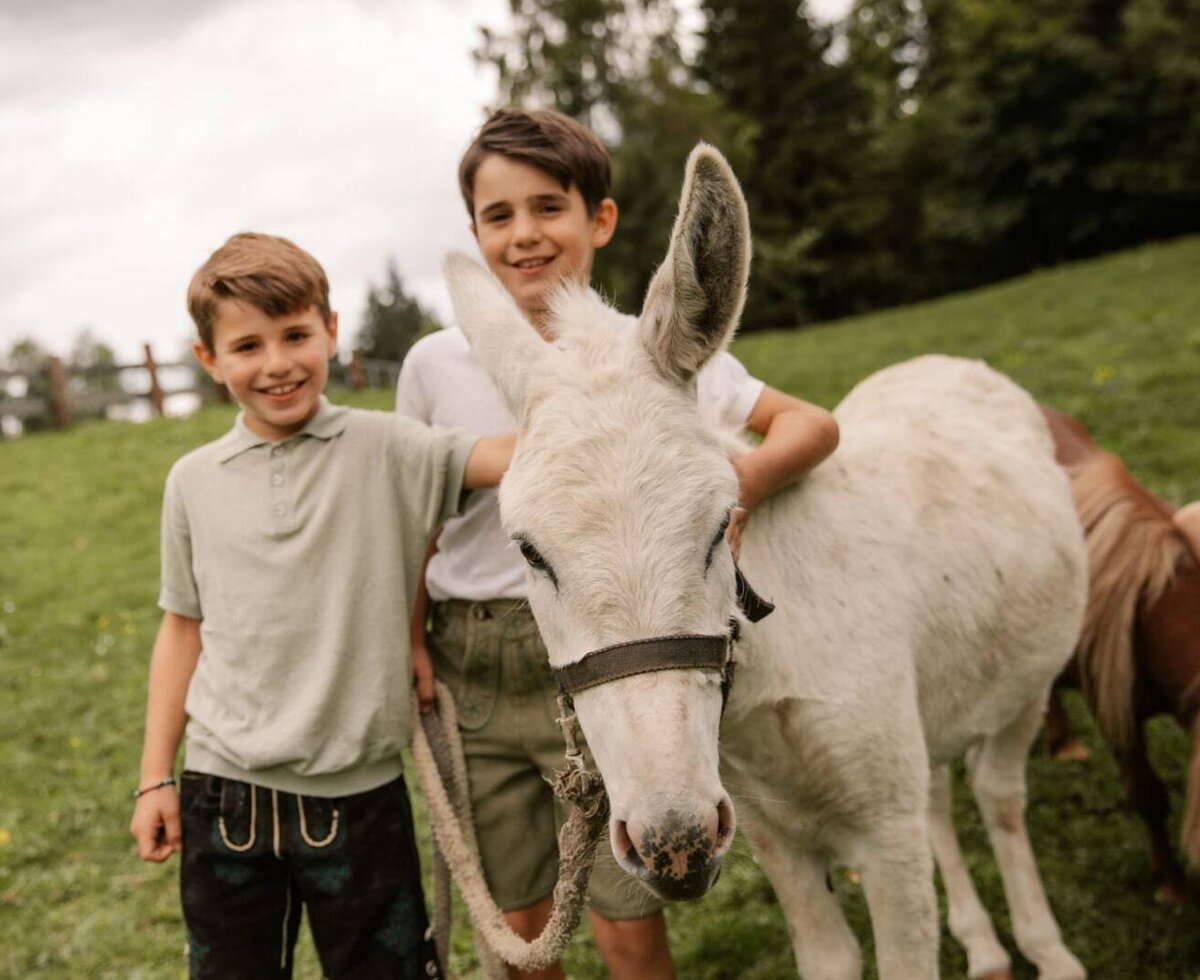 Zwei Jungen streicheln einen Esel auf dem Bauernhof, mit weiteren Tieren im Hintergrund.