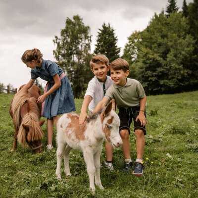 Kinder streicheln Ponys und ein Fohlen auf der Wiese des Bauernhofs.
