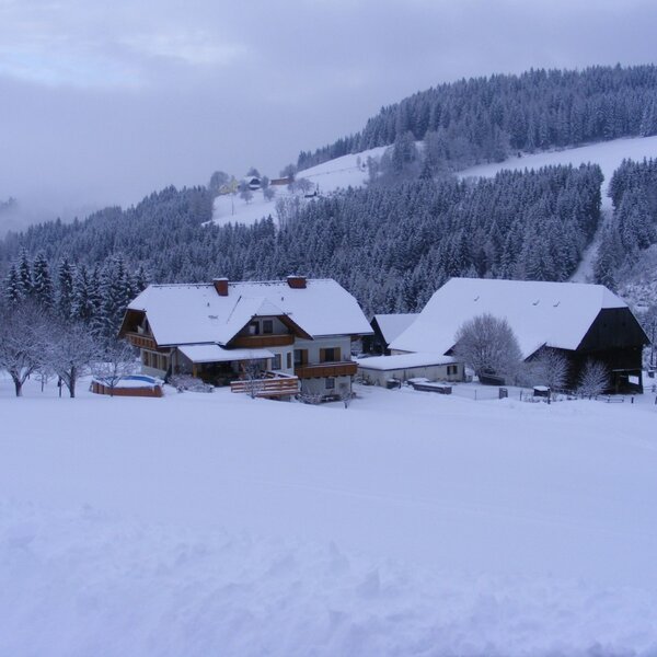 Der Hof im Winter