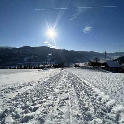 Winterliche Landschaft im Pölstal mit verschneiten Feldern und Bergen unter strahlendem Sonnenschein, vom Bauernhof aus sichtbar.