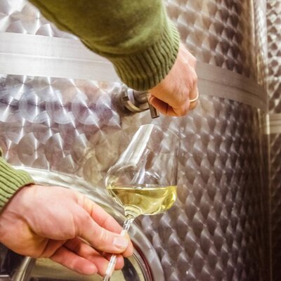 Verkostung von Weißwein direkt aus dem Metalltank im Haus.