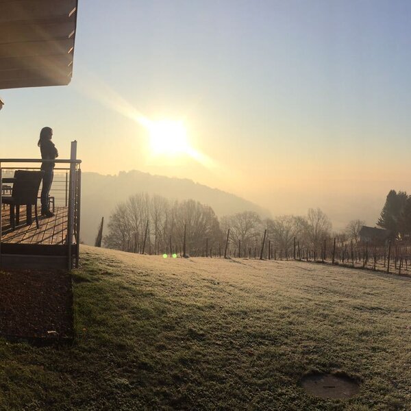 Aus-+Weitblick