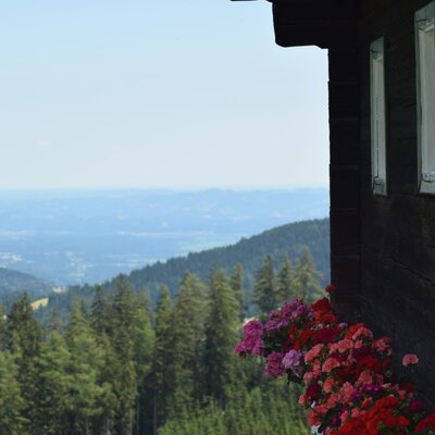 Blick vom Bauernhof auf die bewaldete Hügellandschaft, mit bunten Blumenkästen an der Hauswand.