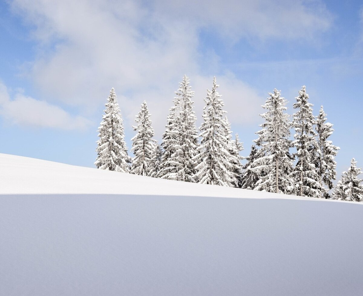 Verschneite Tannenbäume auf einem Hügel unter blauem Himmel mit Wolken.