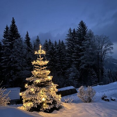 Ein beleuchteter Weihnachtsbaum im Schnee vor dem Bauernhof, umgeben von verschneiten Nadelbäumen in der Dämmerung.