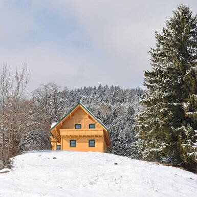 Winter am Fressenberg