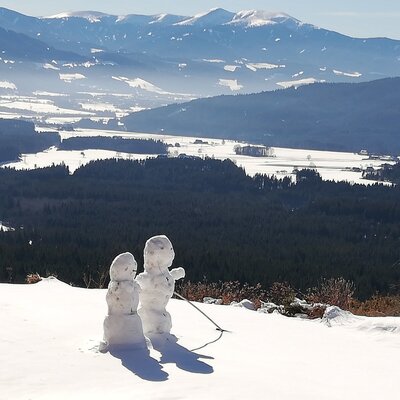 Blick in das winterliche Murtal