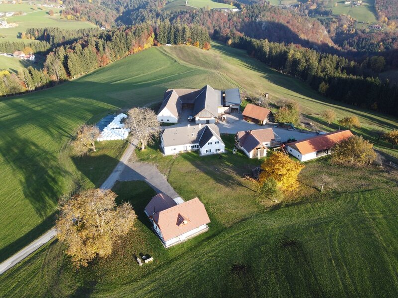 Die ruhige Lage des Bauernhofs mit seinen Gebäuden inmitten der weitläufigen, grünen Hügellandschaft.
