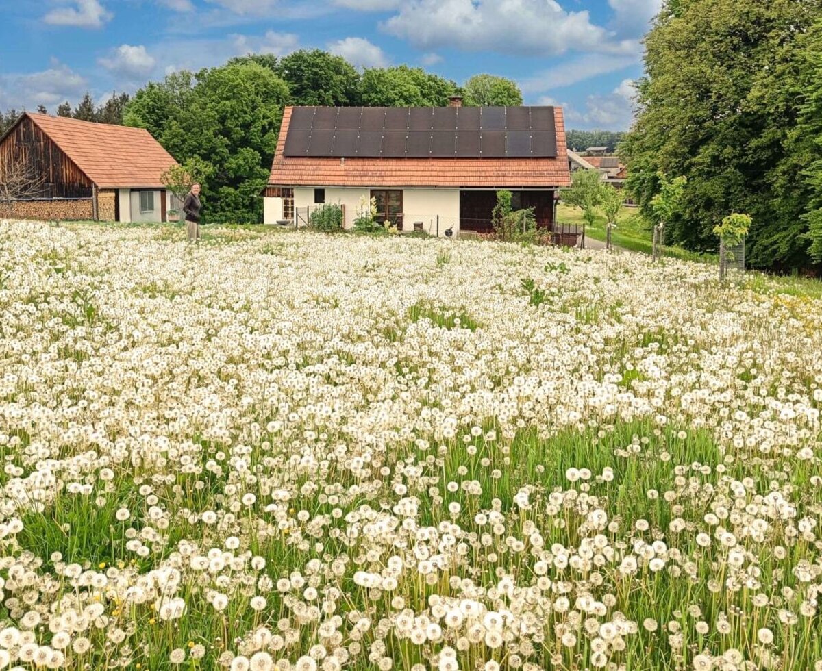 Land.Haus