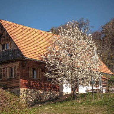 Ferienhaus am Rosenberg zur Kirschblüte Ferienhaus am Rosenberg zur Kirschblüte