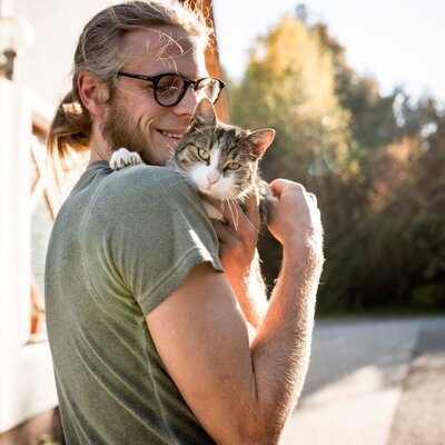 Kater Phil liebt Streicheleinheiten. c_miriam_raneburger