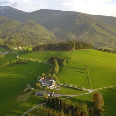 Der Bauernhof befindet sich inmitten grüner Hügel und Wälder, mit Bergen im Hintergrund.