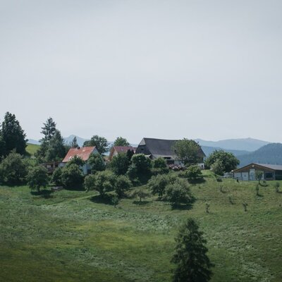 Unser Bauernhof ist auf einer wunderschönen Anhöhe gelegen. Uumgeben von Bäumen, Wäldern und Bergen. c_träumerherz_fotografie