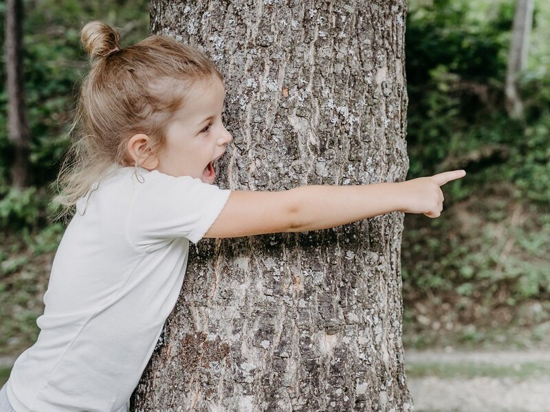 Wau, do muss i hin. Ferienwohnungen Perhofer (c)Ökopark