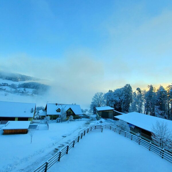 Endlich Schnee