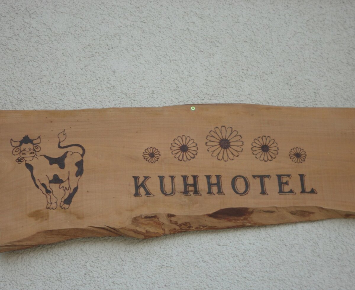 Bei uns geht es auch den Kühen gut!