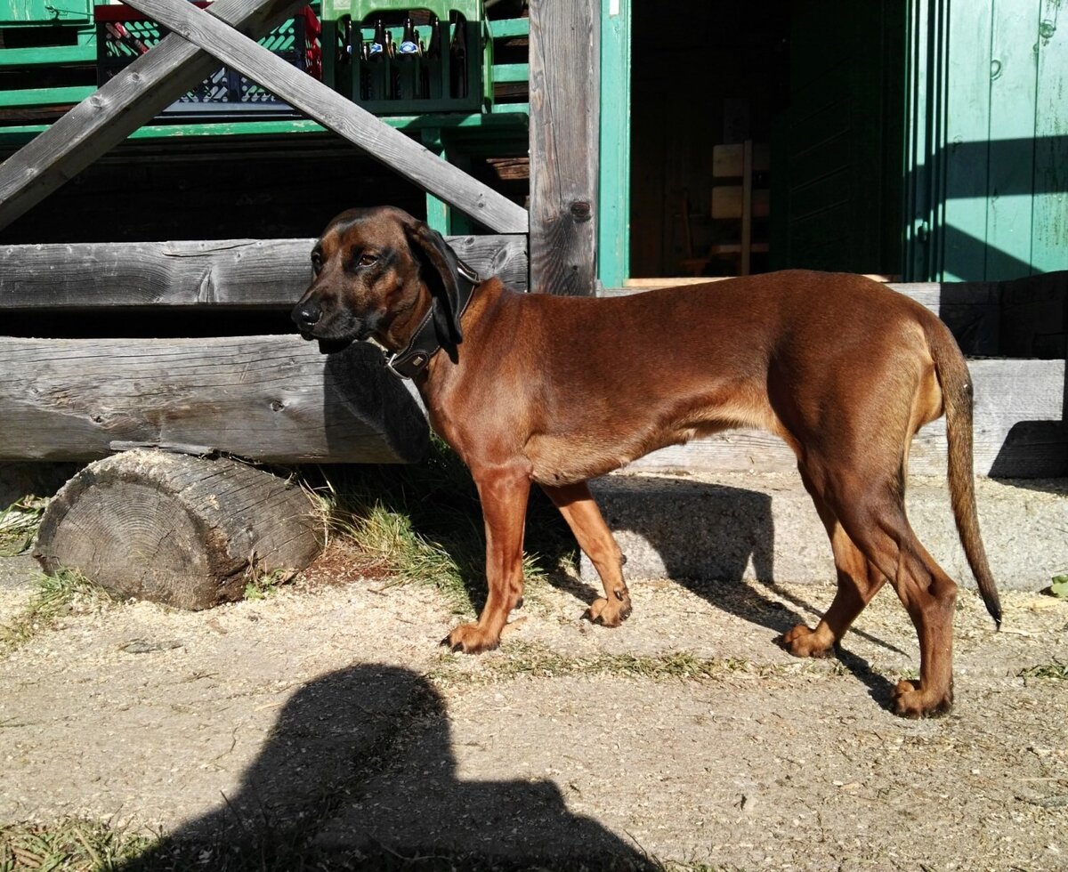 Unsere Cora