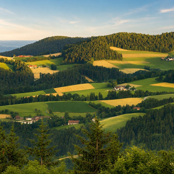 Die malerische Hügellandschaft rund um den Bauernhof mit grünen Wiesen und dichten Wäldern im sanften Abendlicht.
